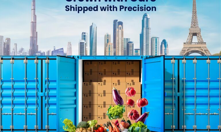how much does importing machinery from China into Portugal freight process